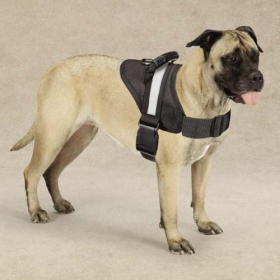 Guardian Gear Excursion Harnesses