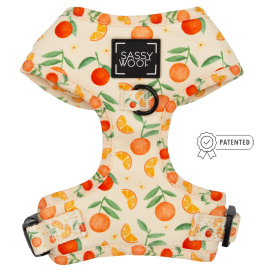 Adjustable Harness (Color: Simply the Zest, size: Xlarge)