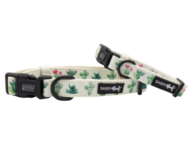 Sassy Woof Dog Collars (Color: Sass on Point, size: medium)