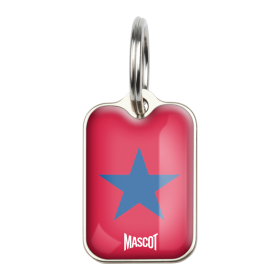 Star (Color: Star, size: Large (2.6cm x 1.8cm))