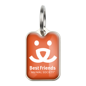 Best Friends (Color: Best Friends, size: Large (2.6cm x 1.8cm))