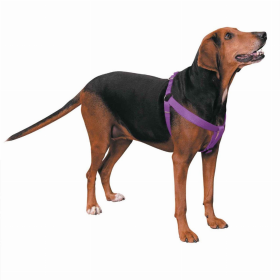 CC Nylon 2 Step Harness (Color: Purple, size: 9-15in)